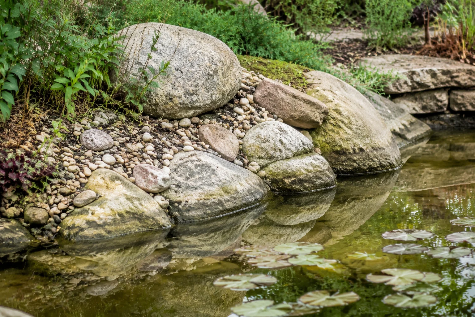 Кромка пруда с признаками изменения уровня воды